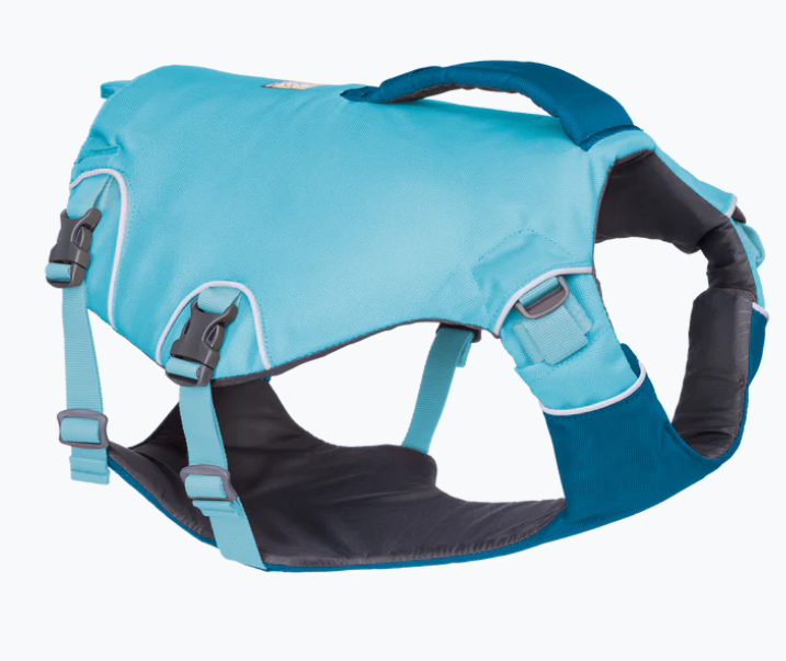 dog's life jacket